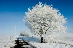 Auch im Winter bieten wir Ihnen einen unvergesslichen Aufenthalt