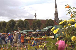 Der Heider Marktfrieden